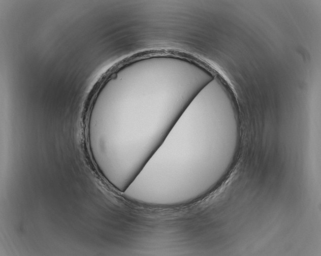 X0000115810927200911131039