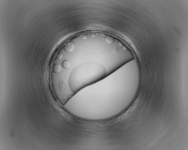 X0000115810931200911131039