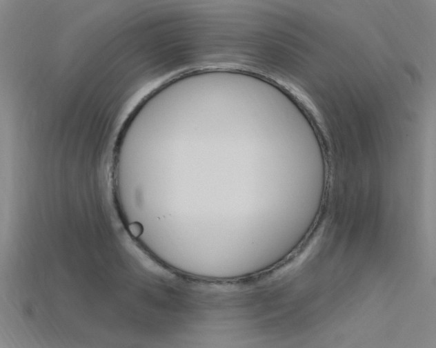 X0000115810941200911131039