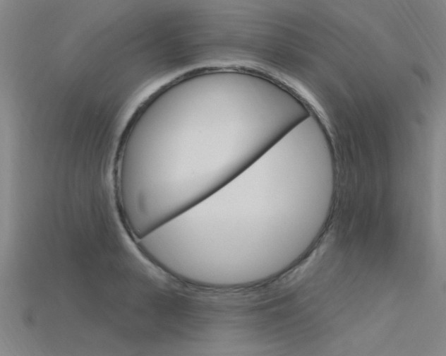 X0000115810943200911131039