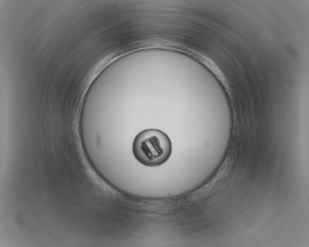 X0000115810946200911131039