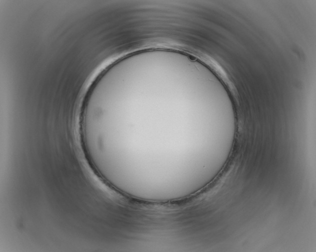 X0000115810947200911131039