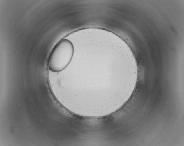 X0000115810950200911131039