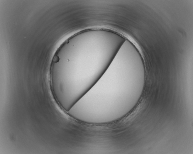 X0000115810951200911131039