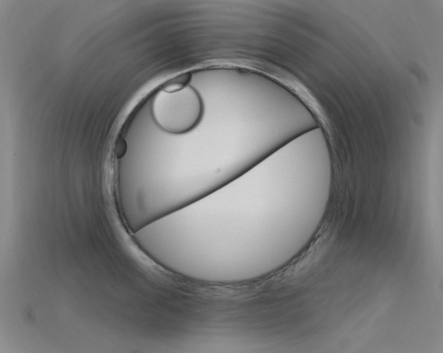 X0000115810955200911131040