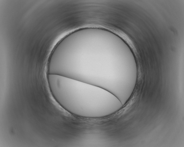 X0000115810958200911131040