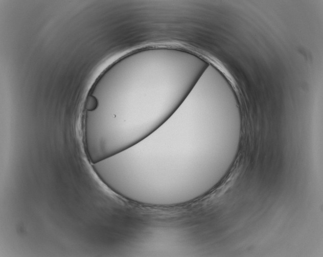 X0000115810959200911131040