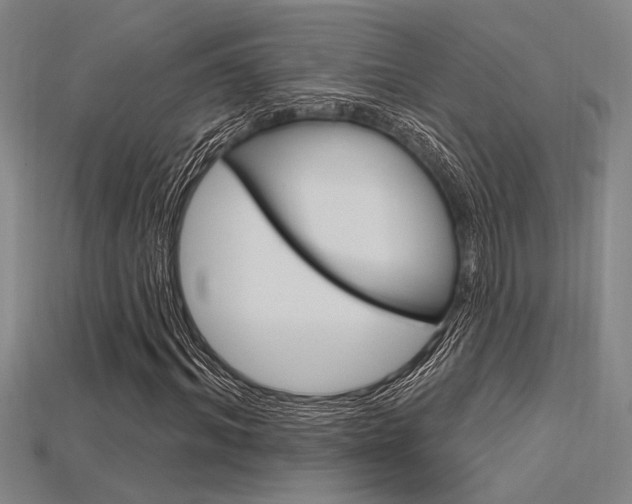 X0000115810964200911131039