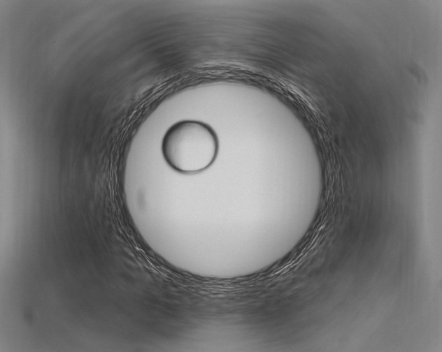 X0000115810965200911131039