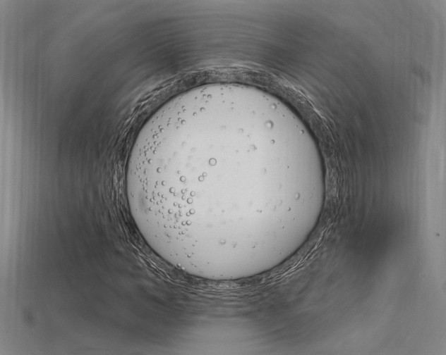 X0000115810966200911131039
