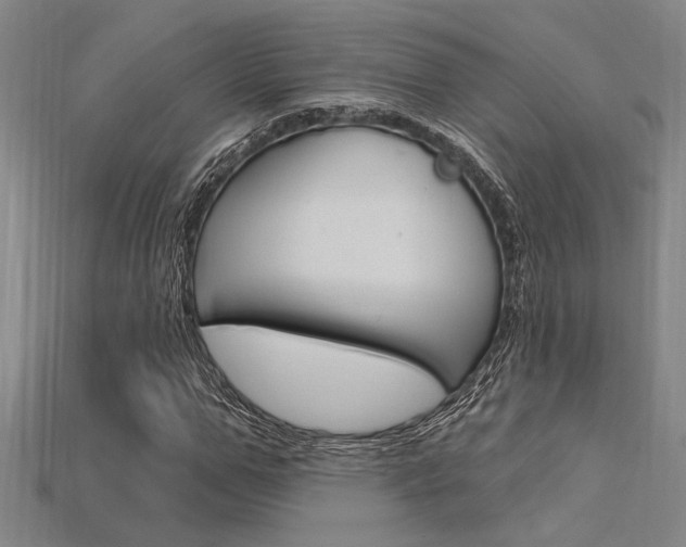 X0000115810967200911131039