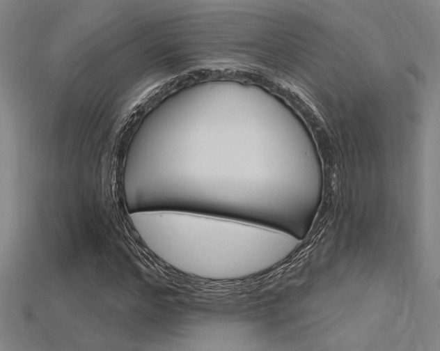 X0000115810968200911131039