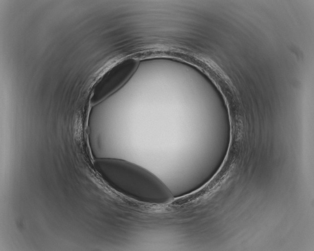 X0000115810969200911131039