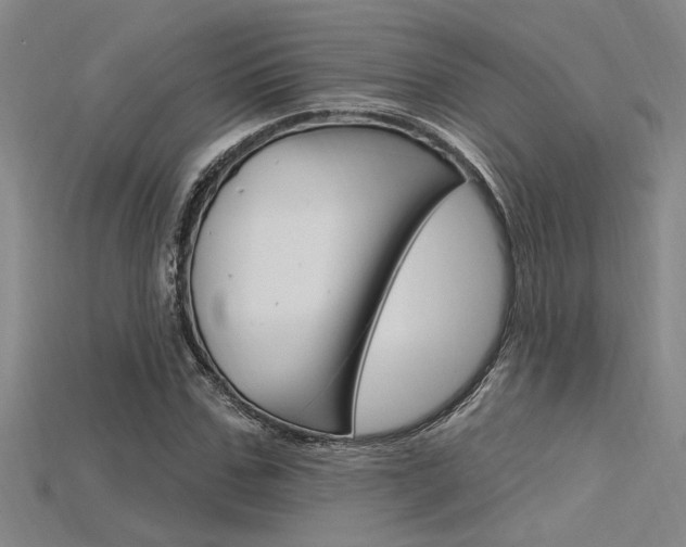 X0000115810971200911131039