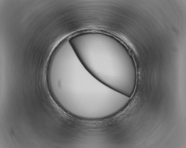 X0000115810972200911131039