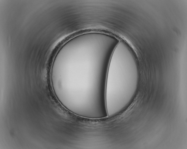 X0000115810975200911131039