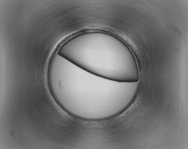X0000115810976200911131039