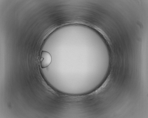 X0000115810977200911131039