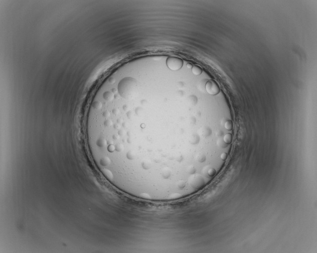X0000115810978200911131039
