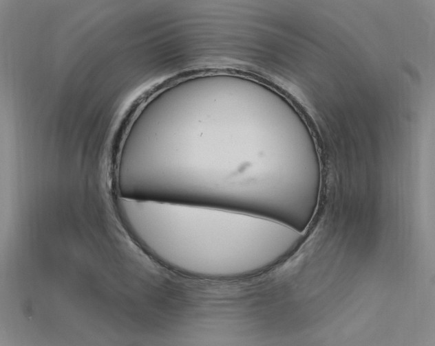 X0000115810979200911131039