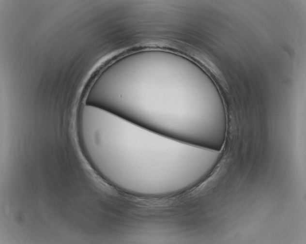 X0000115810984200911131039