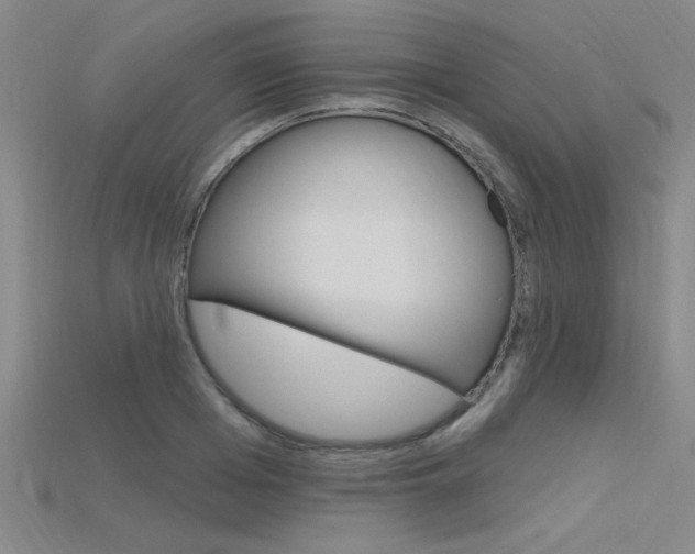 X0000115810985200911131039
