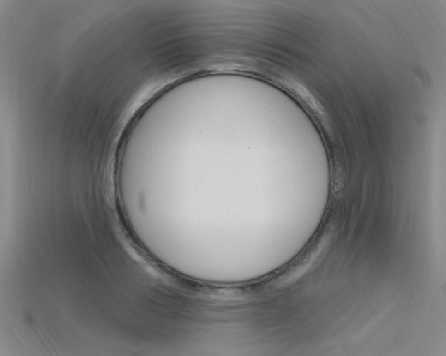 X0000115810986200911131039