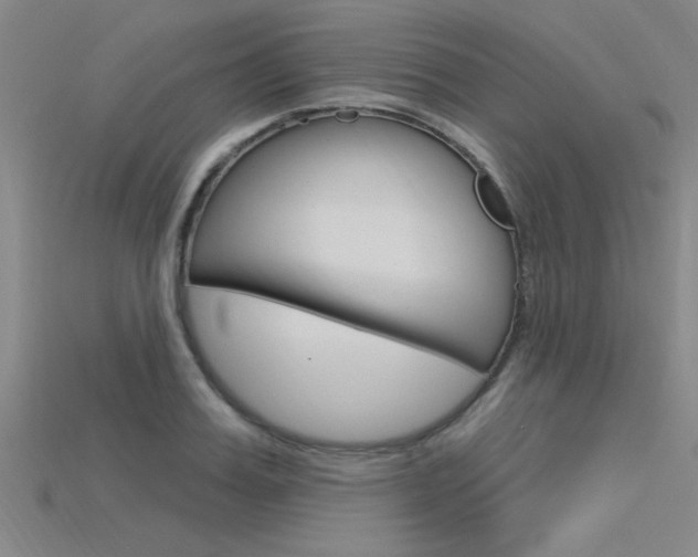 X0000115810987200911131039