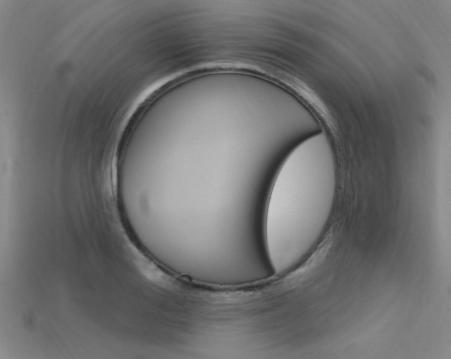 X0000115810988200911131039