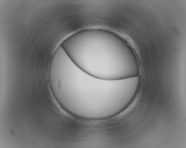 X0000115810993200911131039