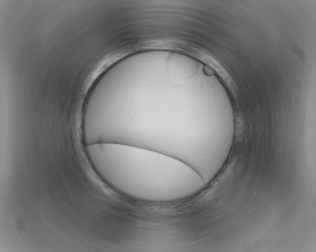 X0000115810994200911131039