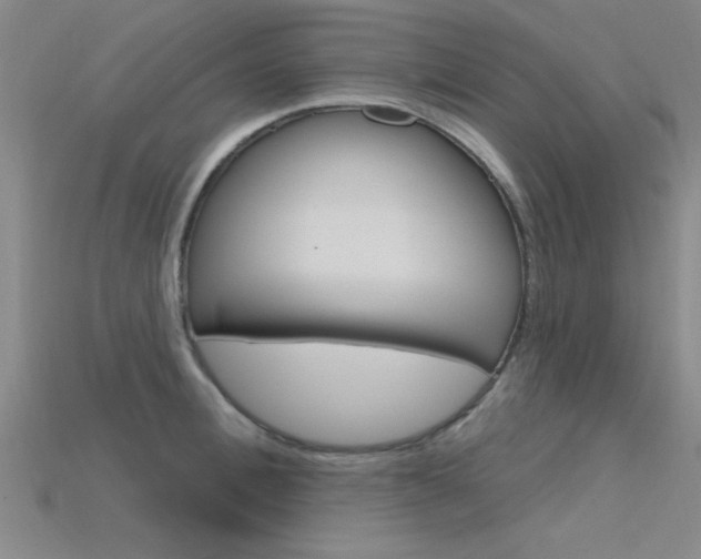 X0000115810996200911131039