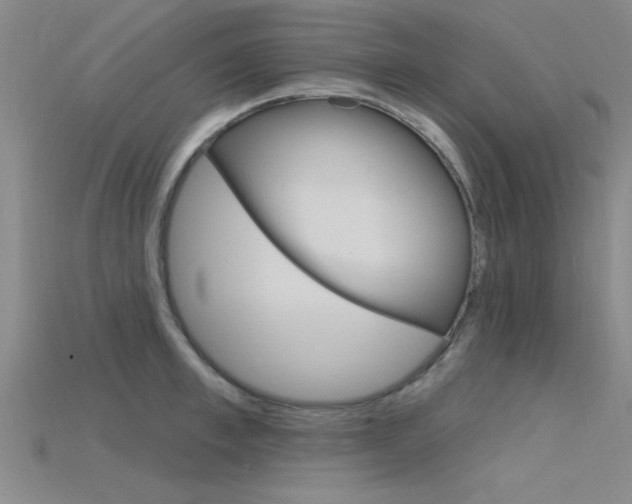 X0000115810997200911131038