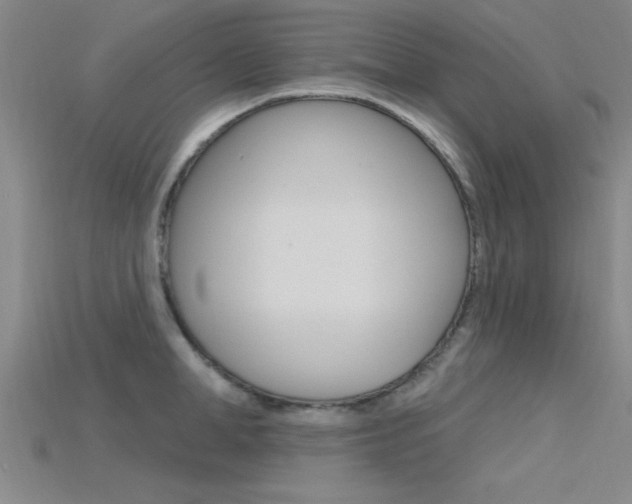 X0000115810998200911131038
