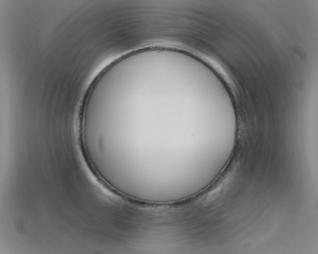 X0000115810999200911131038