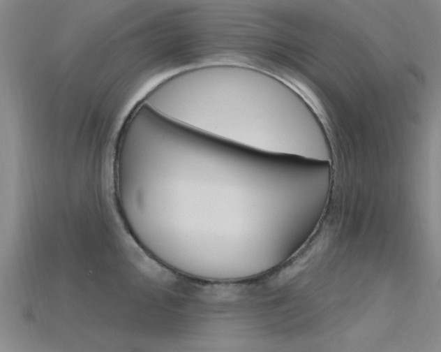 X0000115811000200911131038