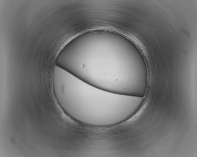 X0000115811001200911131038