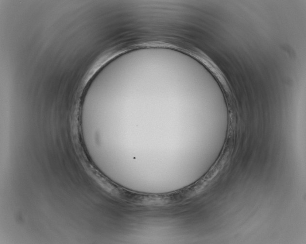 X0000115811002200911131038