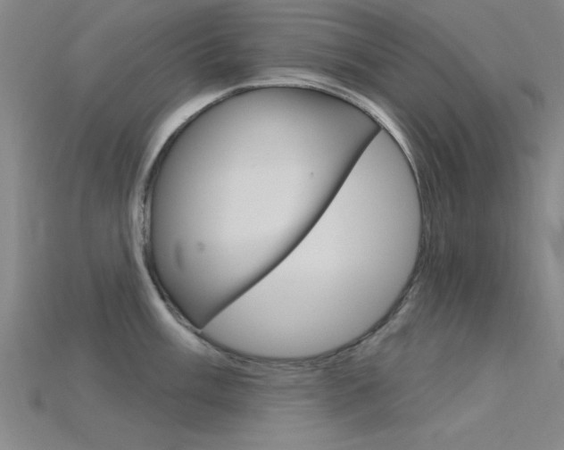 X0000115811003200911131038