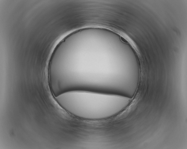 X0000115811004200911131038