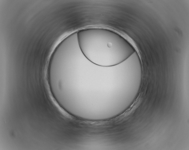 X0000115811005200911131038