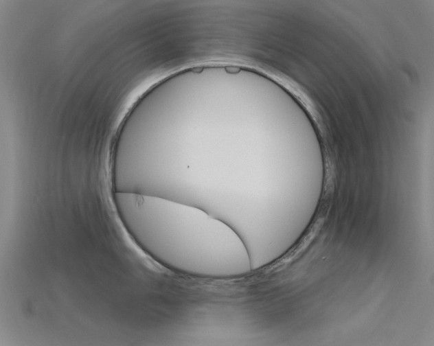 X0000115811006200911131038