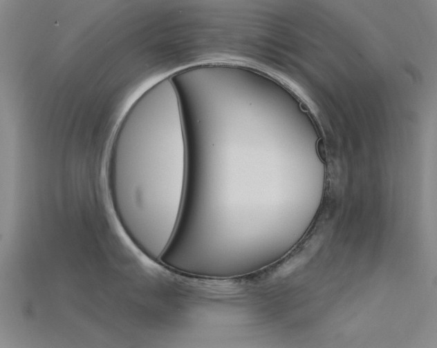 X0000115811007200911131038