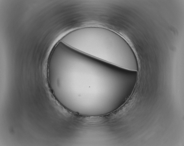 X0000115811008200911131038
