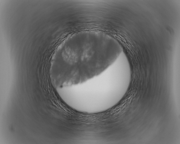X0000115811009200911131038
