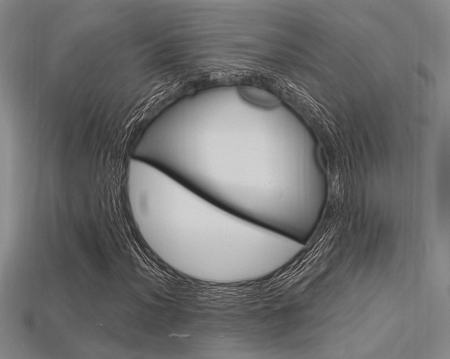 X0000115811012200911131038