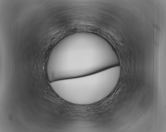 X0000115811013200911131038