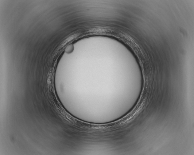 X0000115811017200911131038