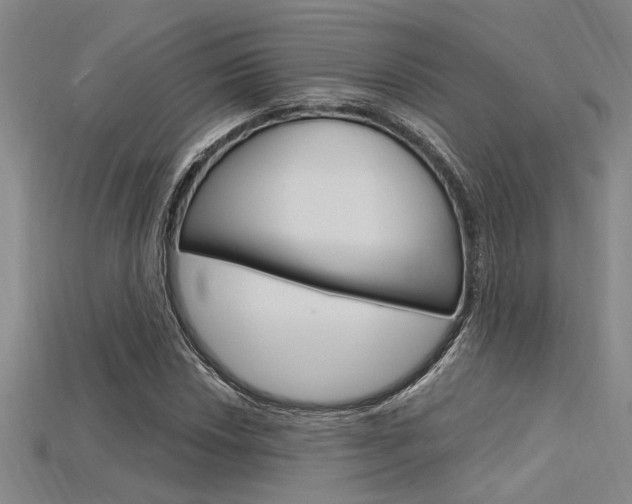 X0000115811018200911131038