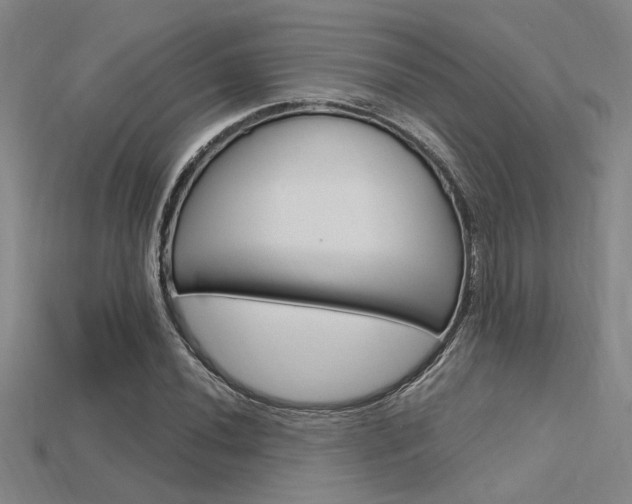 X0000115811020200911131038